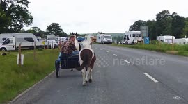 Travellers ride their horse-drawn carts ahead of the Appleby Horse Fair