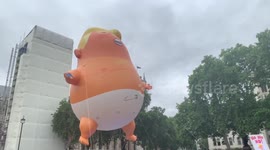 Caged Donald Trump in gorilla suit protests at Parliament Square