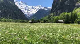 Newsflare Edit - Walking through meadows in Switzerland
