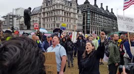 Trump Supporter stands his ground at anti-Trump protests