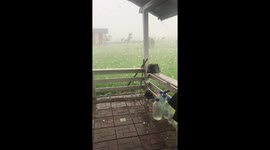 Oh hail no: enormous egg-sized hail bombards Romanian backyard