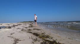 Dude picks up shell on beautiful north Florida coastline