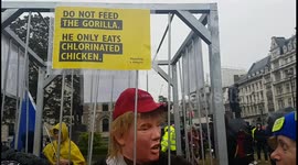 Protesters and Trump supporters converge on Parliament Square on day two of the President's state visit with strong opinions exchanged.