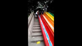 Dog Slide Video