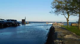 Flood Zone Joyriding in Parc Alexandre Bourgeau Pointe Claire Quebec Canada