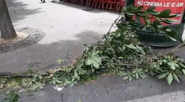 Strong winds from Storm Miguel batter French capital