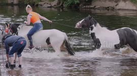 Highlights from the first day of the Appleby Horse Fair 2019