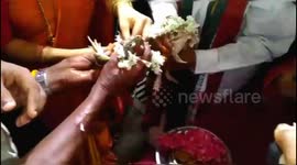 Frogs get married to appease rain god in southern India