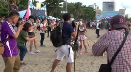 Woman runs mini marathon with her four pet dogs