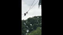 Orangutan Redd, the first ever to perform cartwheels on the O-Line, 50 ft above the ground at National Zoo in DC.