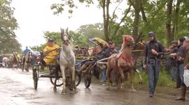 Poor weather causes horse-drawn carts to crash at Appleby Horse Fair