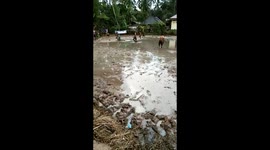 'That won't wash out!' School kids play mud soccer in Indonesia