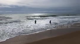 Beached dolphin rescued after struggling to swim in Thai shallow waters