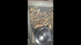 The strange honey bees building the nest in the speaker
