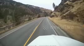 Hitting a Deer In The Big Truck Kenworth T-800