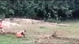 Watch a deer being rescued after it gets stuck in a muddy pond in southern India