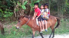 Students at remote village in the Philippines forced to ride horses to school every day