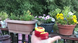 Breakfast Crowd