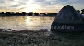 Pond with ducks at sunset