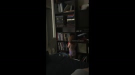 Little girl decides to get rid of daddy’s book collection