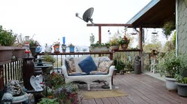 Invasion of the Hummingbirds !