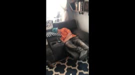 Big brother scares little brother awake.