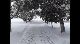 SNOW CİTY | KARAKOL