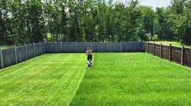 Canada dad shows just how satisfying mowing a lawn can be
