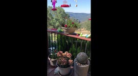 My husband says I have over 100 pots