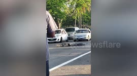 Enormous crocodile holds up multiple lanes of traffic in Mexico