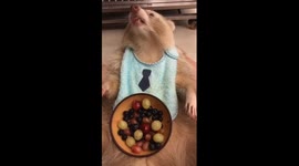 IG直播時挑水果吃