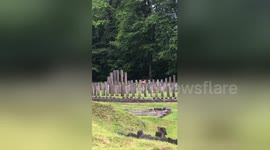 Hollywood actor strips down to do naked haka at Romanian World Heritage Site