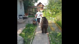 Мама пришла