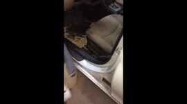 This customer’s car smelled exactly like you would imagine. At least they didn’t throw them out the window