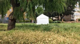 Man stabbed to death in Tower Hamlets, East London