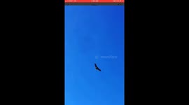 UFO San Francisco Golden Gate Bridge