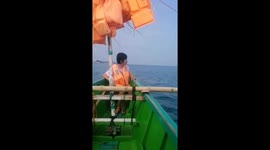Tourists Amazed By Whale Shark Up Close