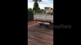 Helpful Dogs Ride On Top Of Truck