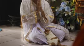 'Enlightenment or kitten?' Buddhist monk gets distracted by playful kitty