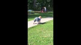 Orangutan baby workout