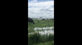 Lincolnshire Man films RAF's continued efforts to shore up flood defences during Wainfleet flooding