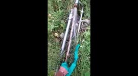 'That hissing isn't the sprinklers' Five-foot snake pulled out of water pipe in north India