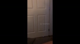 Crayon Sabertooth