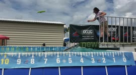 Small Dog Boston Terrier takes a silly small jump into the swimming pool at a dock diving competition