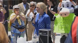 U.S. Representative Mary Gay Scanlon Addresses Crowd