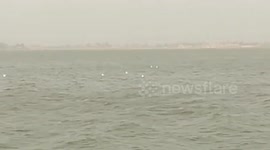 Herd Of white birds fly over quron lake