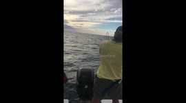 Catching Tiger Shark with MTV Star Brandon Gomes