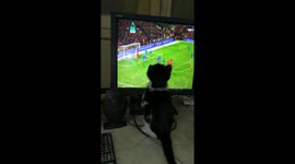 Kitty Adore Mo Salah Matches