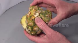 Sweet success: Man solves pineapple Rubik's Cube