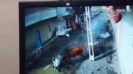 Bull goes violent, injures two men in India
